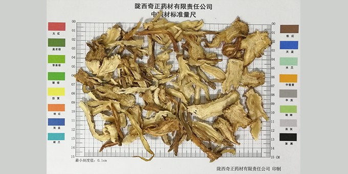 當歸0.3cm以上全歸片